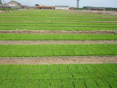 1682239219194392.jpg 3.jpg