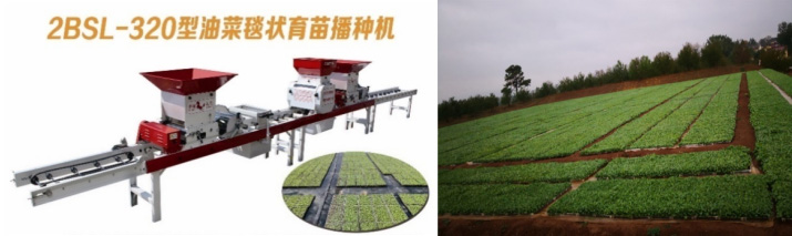 1683603745363675.jpg 2.jpg