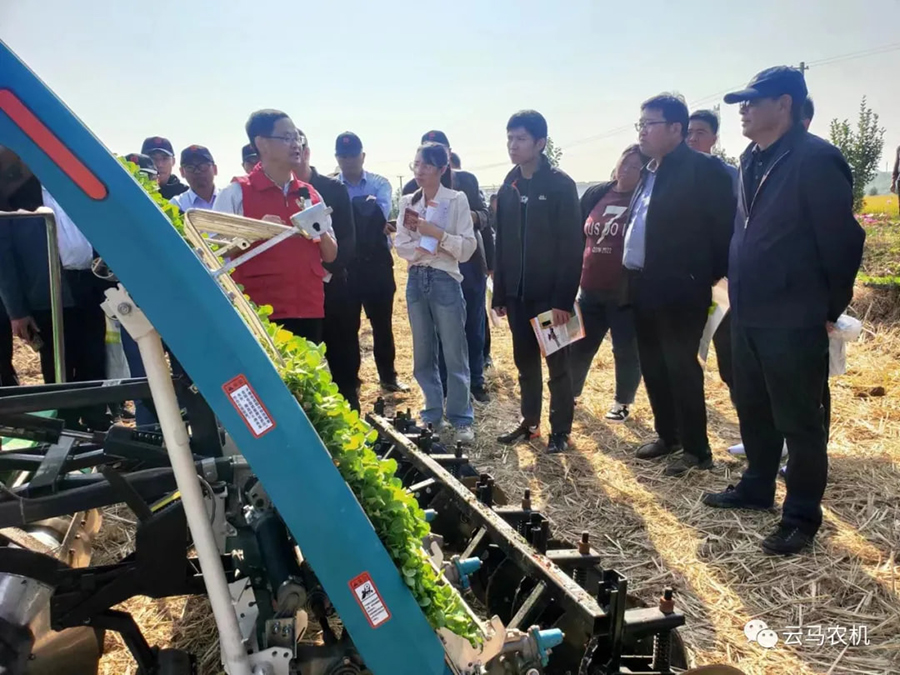 1718612086161645.jpg 7.jpg