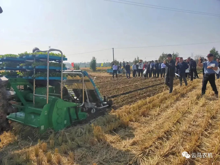 1718612092483284.jpg 8.jpg