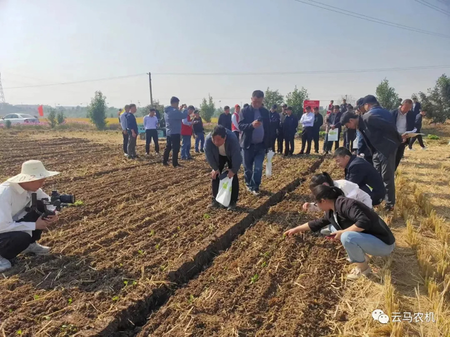 1718612100417309.jpg 9.jpg