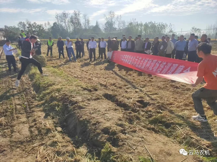 1718612115731065.jpg 10.jpg