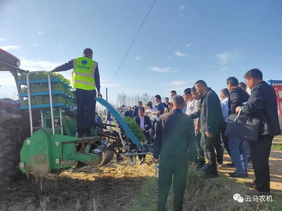 1718612124877781.jpg 11.jpg