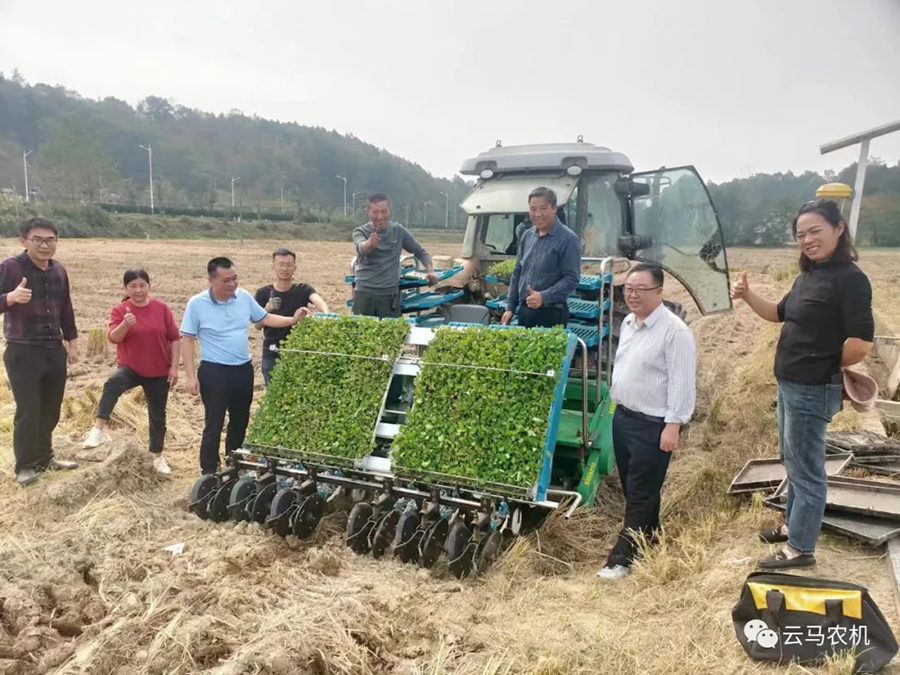 1718613304686066.jpg 5.jpg