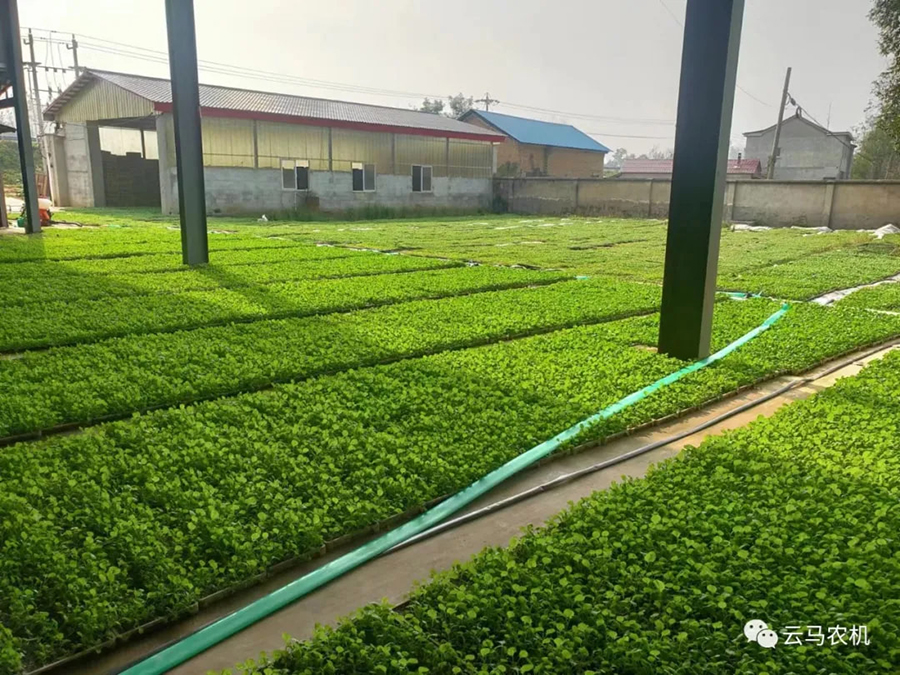 1718613326134607.jpg 8.jpg