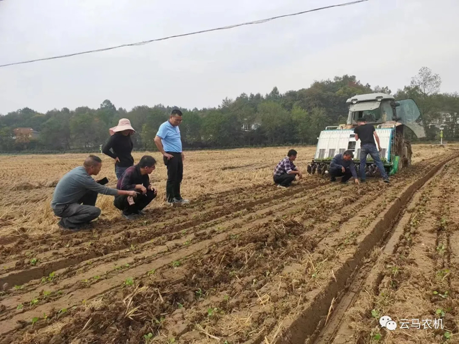 1718613336987589.jpg 9.jpg