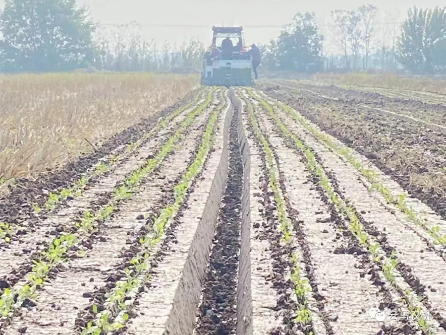 1718613346130805.jpg 10.jpg