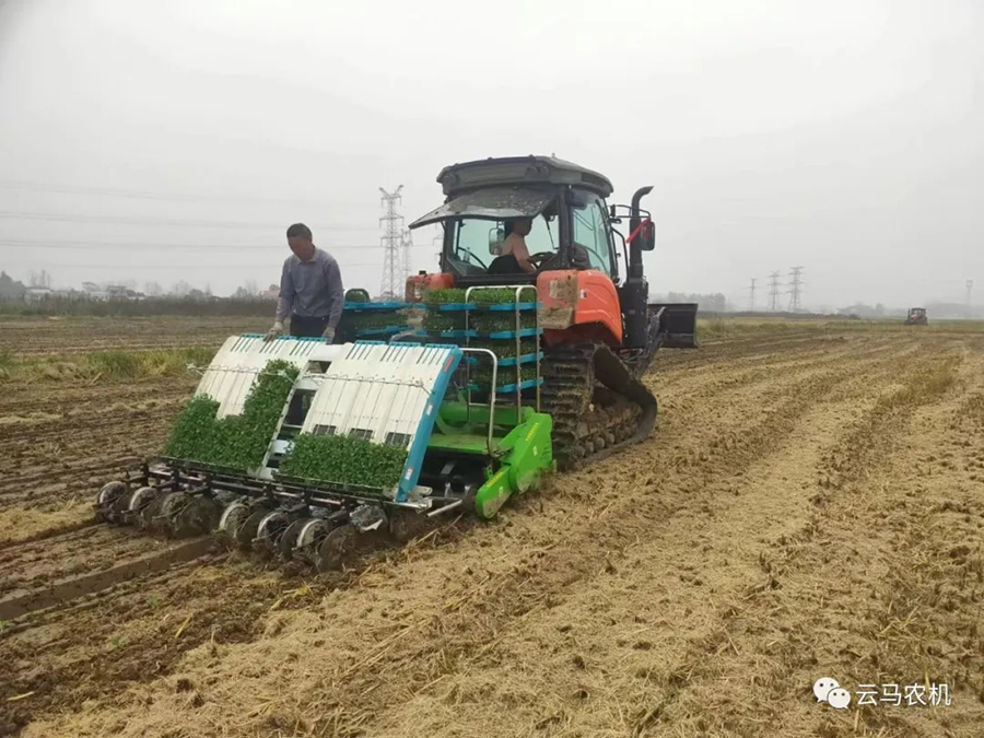 1718613363748457.jpg 12.jpg