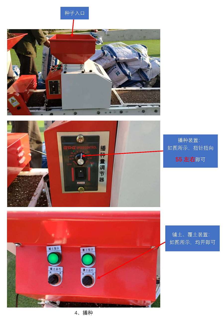 1725333685170826.jpg 云馬--油菜毯狀苗育苗技術(shù)流程_頁(yè)面_3.jpg