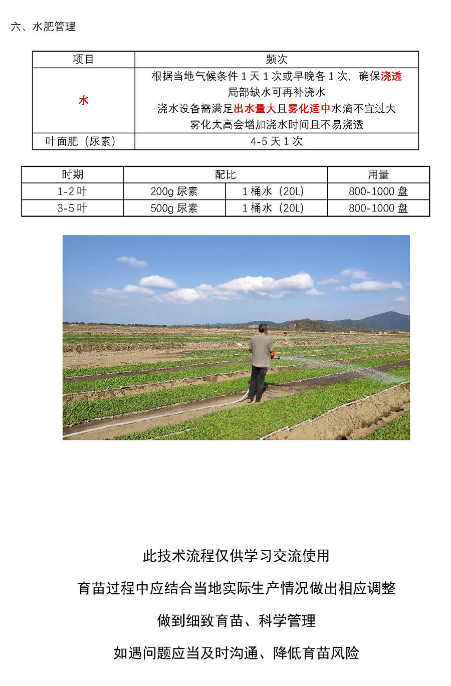 1725333706429909.jpg 云馬--油菜毯狀苗育苗技術(shù)流程_頁(yè)面_6.jpg